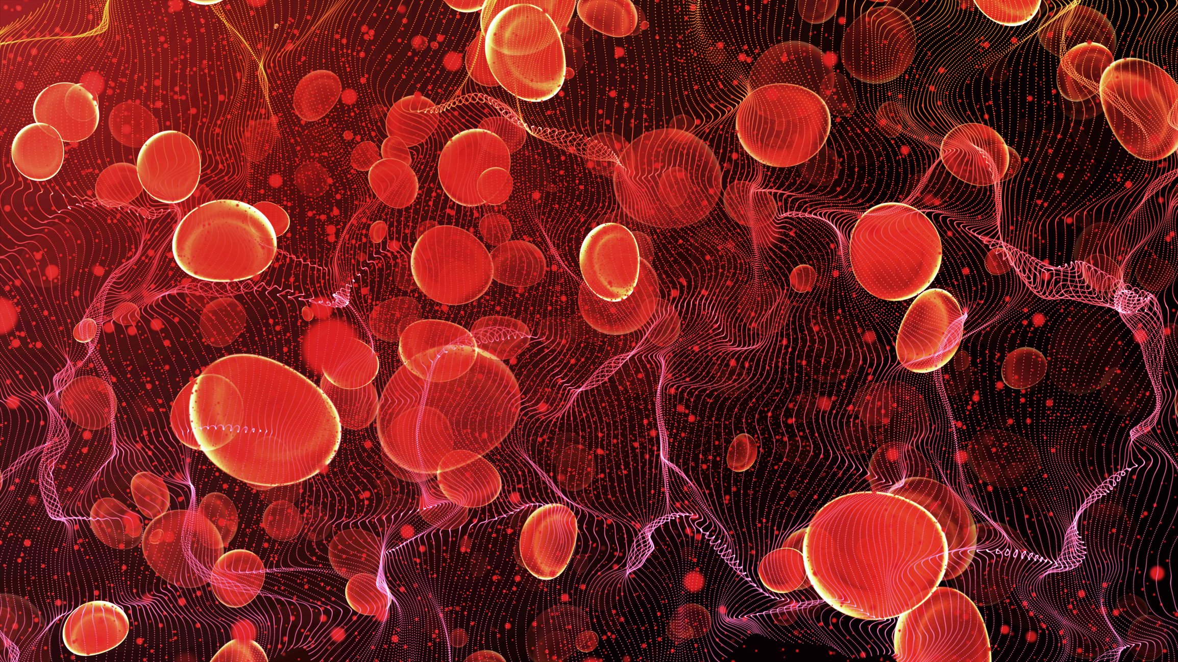 Hematology cells.