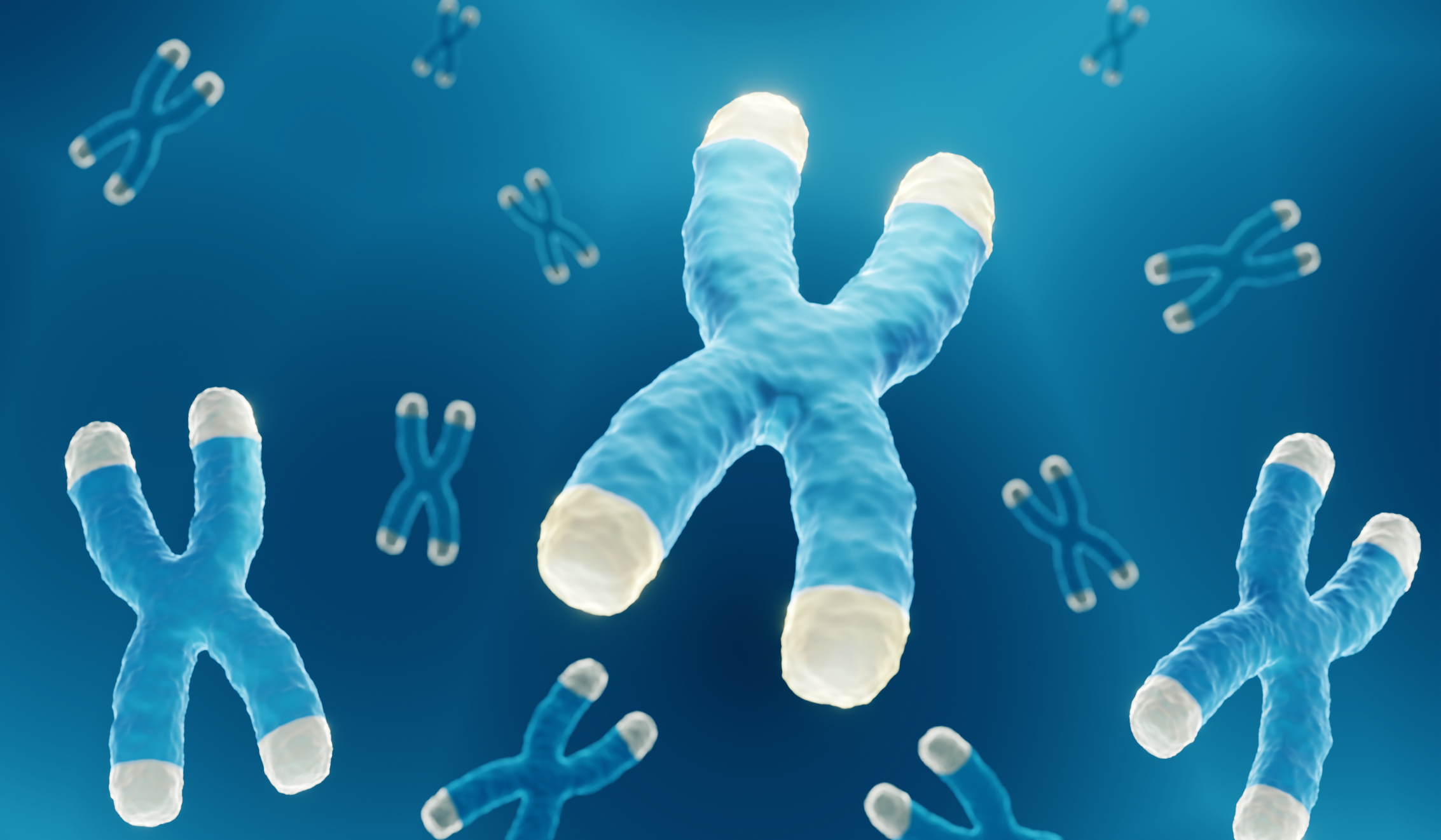 down syndrome chromosome.