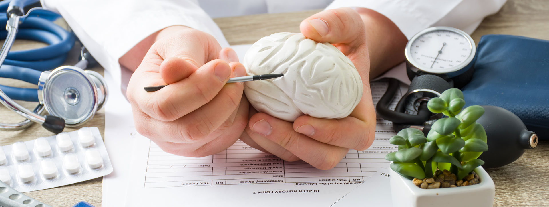 At doctors appointment physician shows to patient shape of brain with focus on hand with organ. 