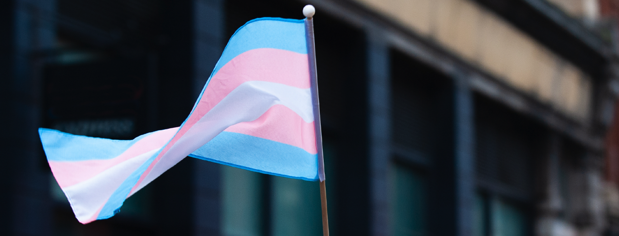 Transgender Flag 