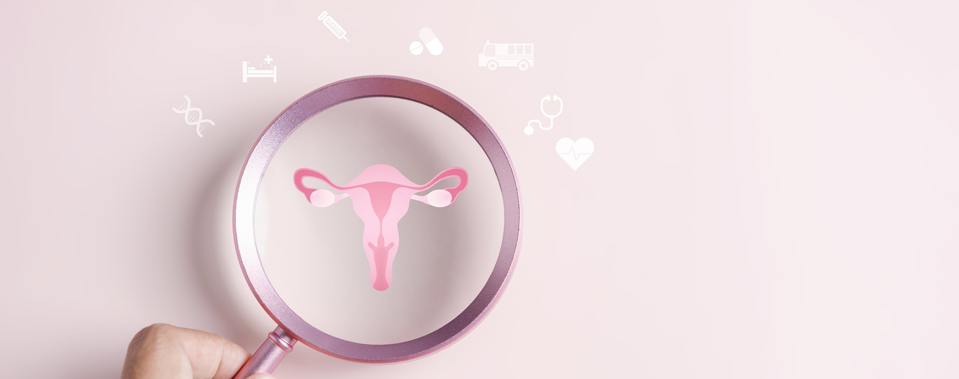 Checkup female reproductive system and women's health. 