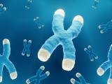 down syndrome chromosome.