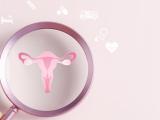 An animated uterus