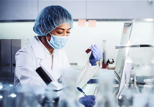 Asian female doctor working with pathogen samples