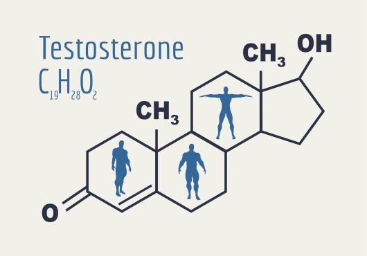 Testosterone chromosome.